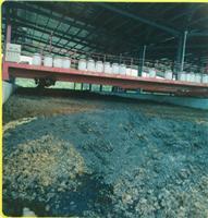 有機肥翻拋機選購指南 高效翻堆設備推薦